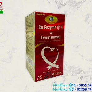 Co Enzyme Q10 – Hỗ trợ sức khỏe tim mạch
