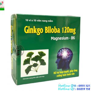 Ginkgo Biloba 120mg – Hỗ trợ lưu thông máu huyết, giảm các biểu hiện của thiểu năng tuần hoàn não
