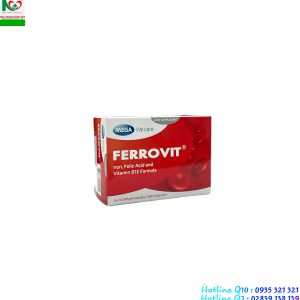 Thuốc Ferrovit – Điều trị bệnh thiếu máu do thiếu Sắt